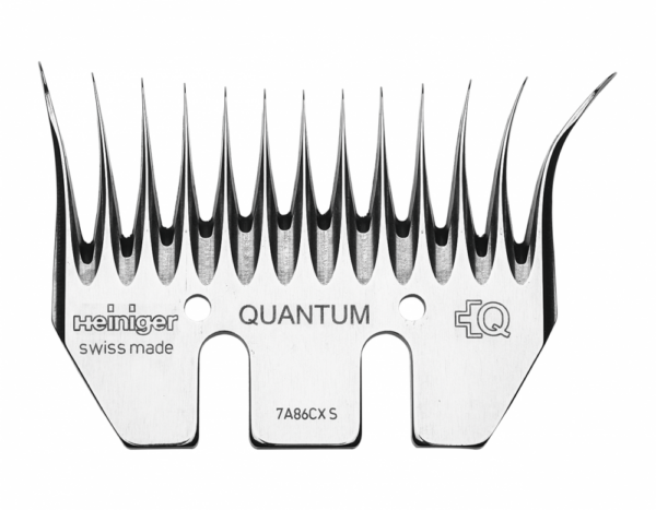 Heiniger Quantum
