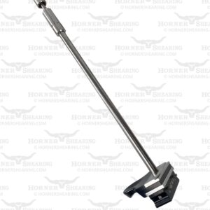 Longhorn Pendulum